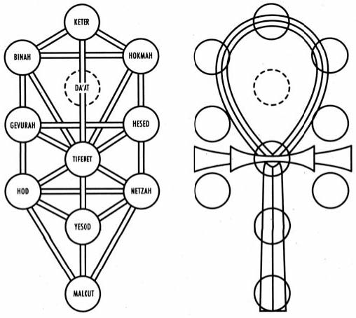 Morphogenetics | Sacred Geometry